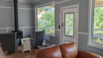 Smart TV, fireplace, books