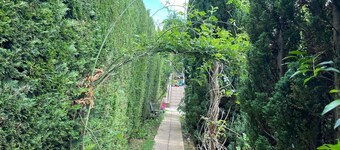 5 minutes from Chambly, small house at the bottom of the garden
