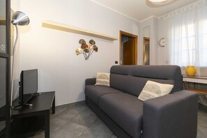 Flat-screen TV