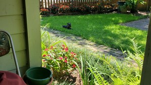 Un jardín con un perro, una valla de madera y un bote al fondo.