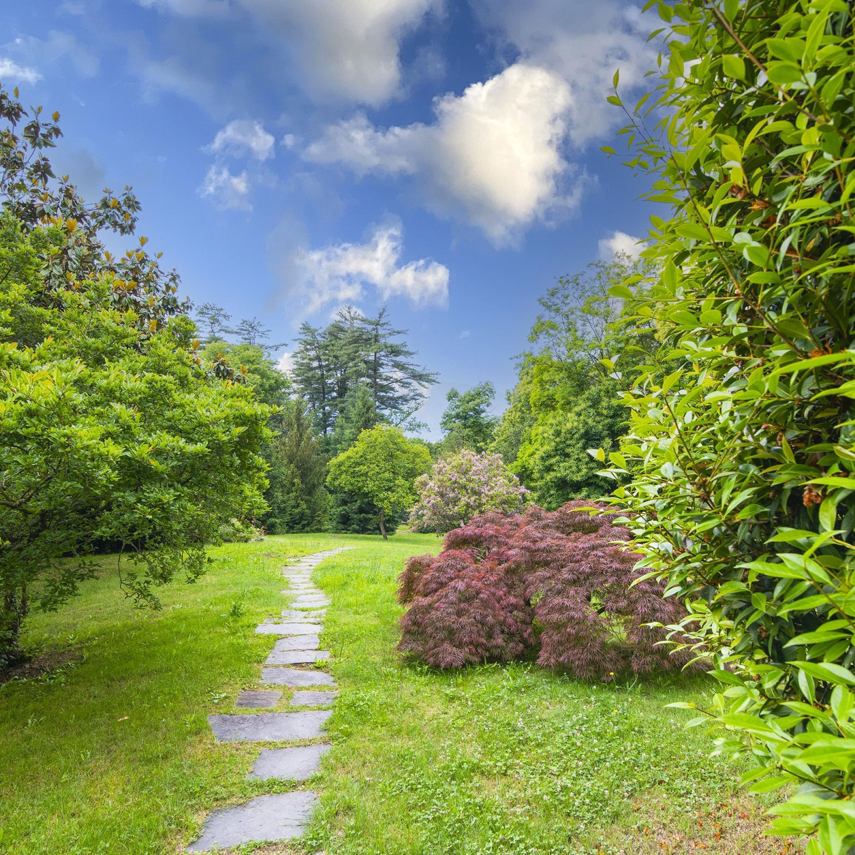 Villa | 3 camere, Internet