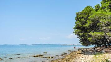 House | 6 bedrooms, Internet