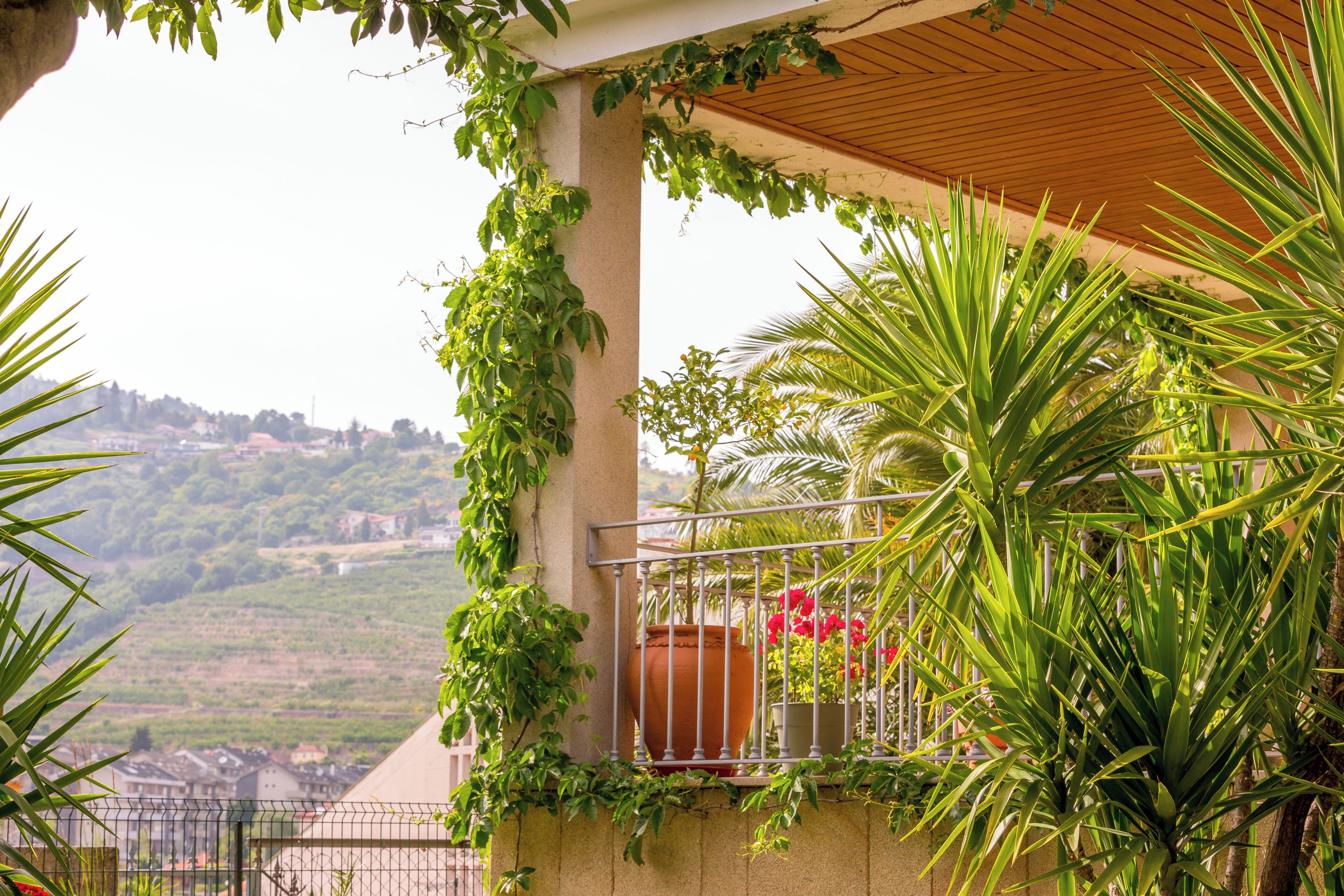 Comfort House | Garden view