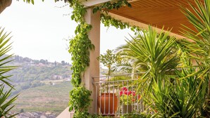 A balcony with a view of a hilly landscape, a potted plant, and a metal railing. - Douro Mool Guest House (Lamego)