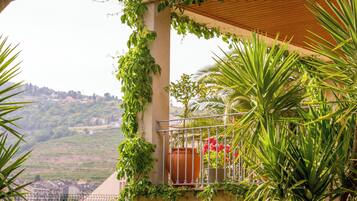 Comfort House | Garden view