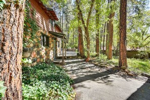 Escape to a secluded cabin surrounded by lush greenery and tall trees.
