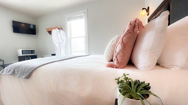 Un lit bien fait, avec une couette blanche et des oreillers roses, une table de chevet ornée d’une plante, un téléviseur à écran plat fixé au mur et une fenêtre avec des rideaux légers.