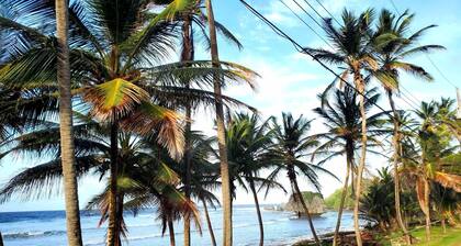 Quiet Family Cottage Near Beach with Cabana
