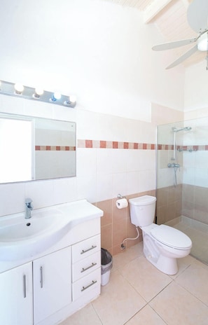Une salle de bain équipée d’un lavabo, d’un miroir, de toilettes et d’une douche.