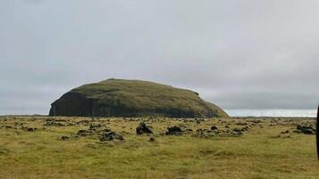 A large, isolated rock formation in a grassy field.