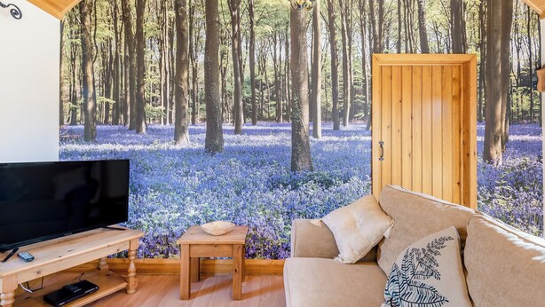 Ein gemütliches Zimmer mit Fernseher auf einem Holzboden, einem kleinen Tisch und einer Couch mit dekorativem Kissen. Ein großes Wandbild mit einem Waldmotiv sorgt für eine entspannte Atmosphäre.