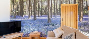 Bluebell Cottage - UK36669