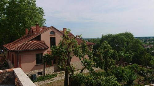 ''Moustier''