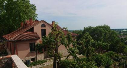 ''Moustier''