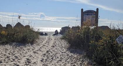 The Blue Bird on The Beach