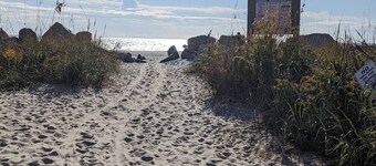 The Blue Bird on The Beach