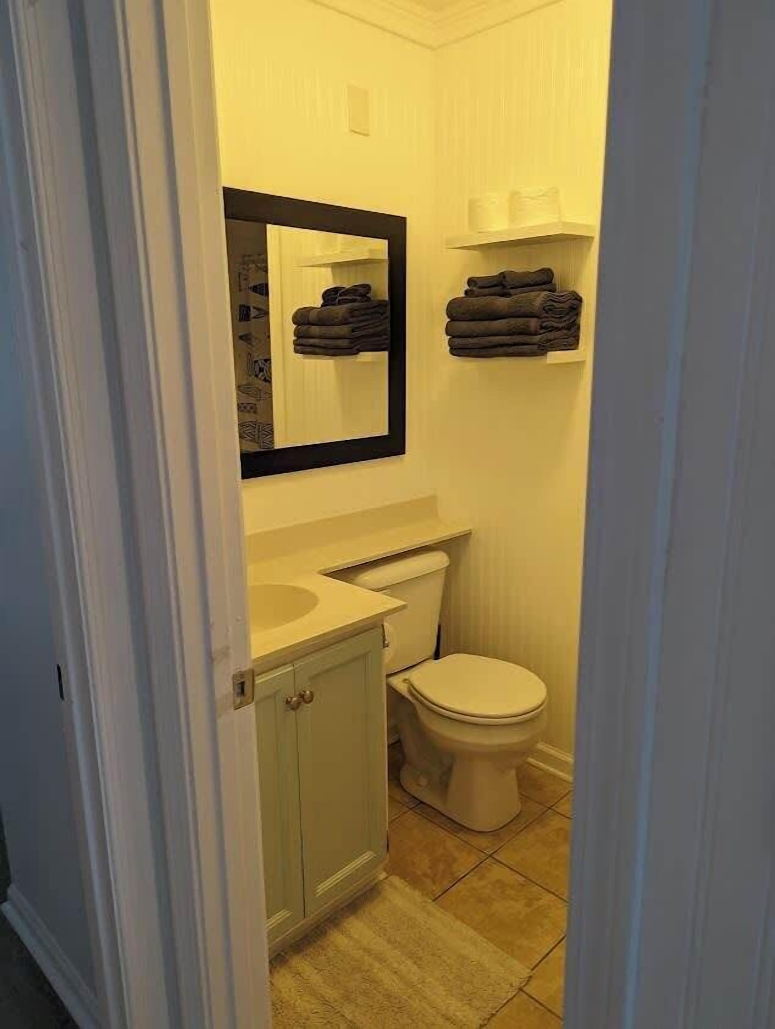 Un bagno piccolo con il water, un lavandino, uno specchio e un porta asciugamani.