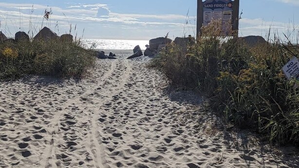 Un sentier de sable qui longe la plage et mène à un panneau indicateur avec du texte, le tout étant entouré de végétation.