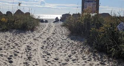 The Blue Bird on The Beach
