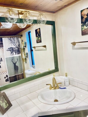 Ducha, secador de pelo, toallas y jabón