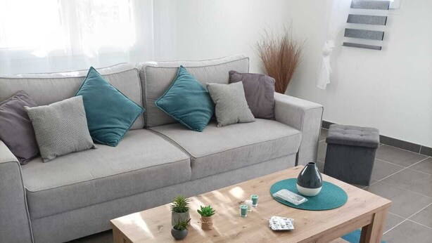 Una sala de estar con un sofá gris, cojines color turquesa, una mesa de centro de madera con plantas y una alfombra azul.