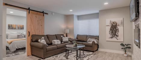 TV connectée, cheminée, livres, médiathèque