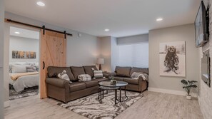 Smart TV, caminetto, libri, biblioteca musicale