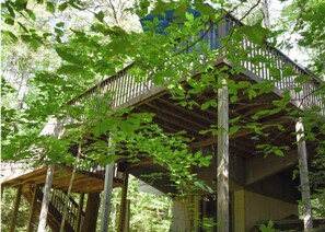 Eine Holzterrasse mit Treppe zu einem überdachten Bereich, umgeben von dichtem Grün.