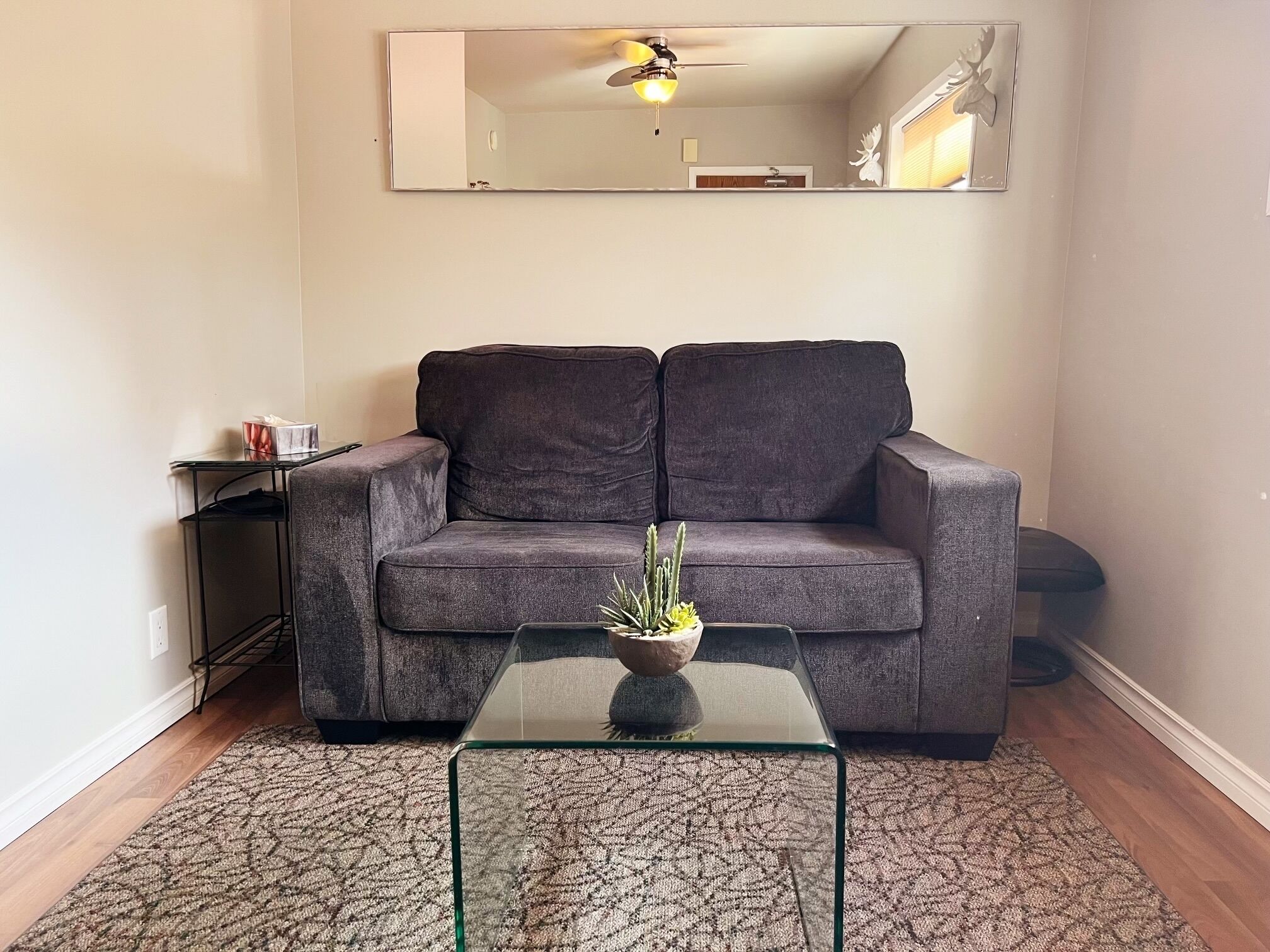 Un salon avec un canapé gris, une table basse en verre ornée d’une plante, une petite table d’appoint et un ventilateur de plafond.