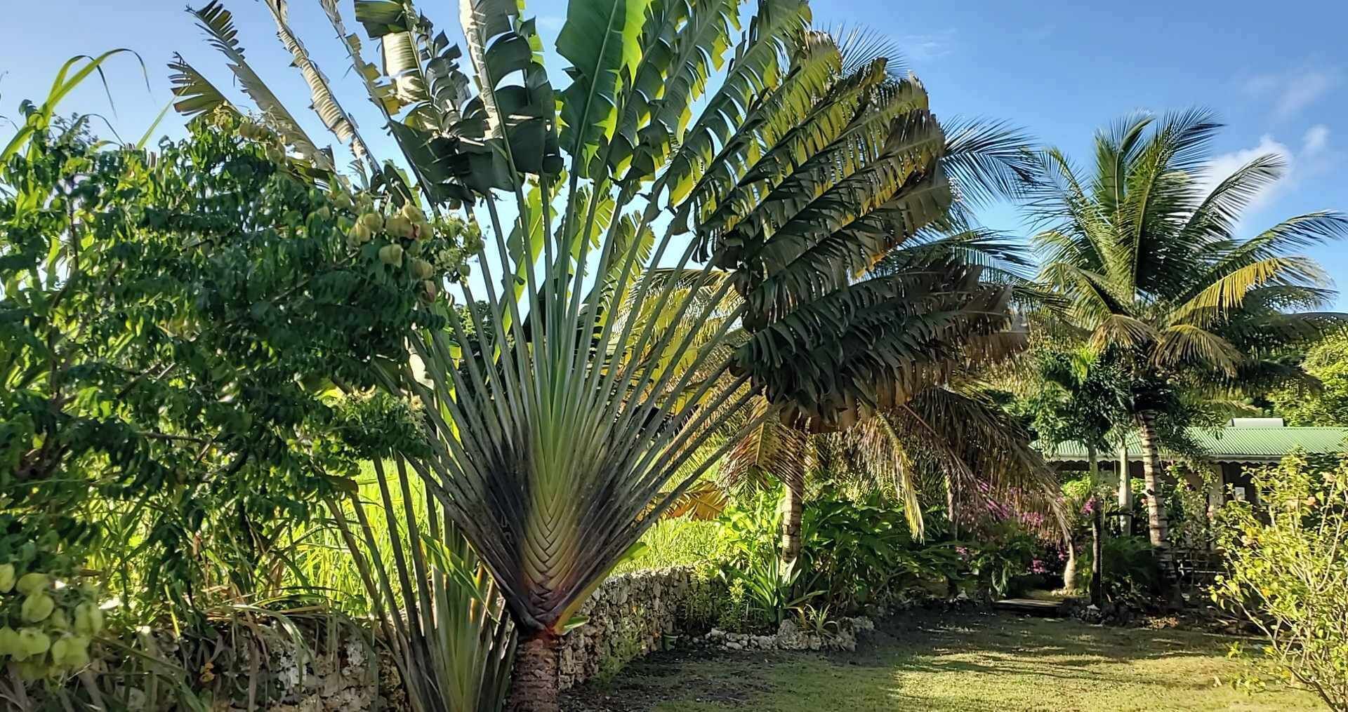 Áreas de la propiedad