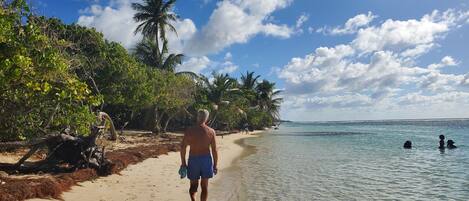 بالقرب من الشاطئ