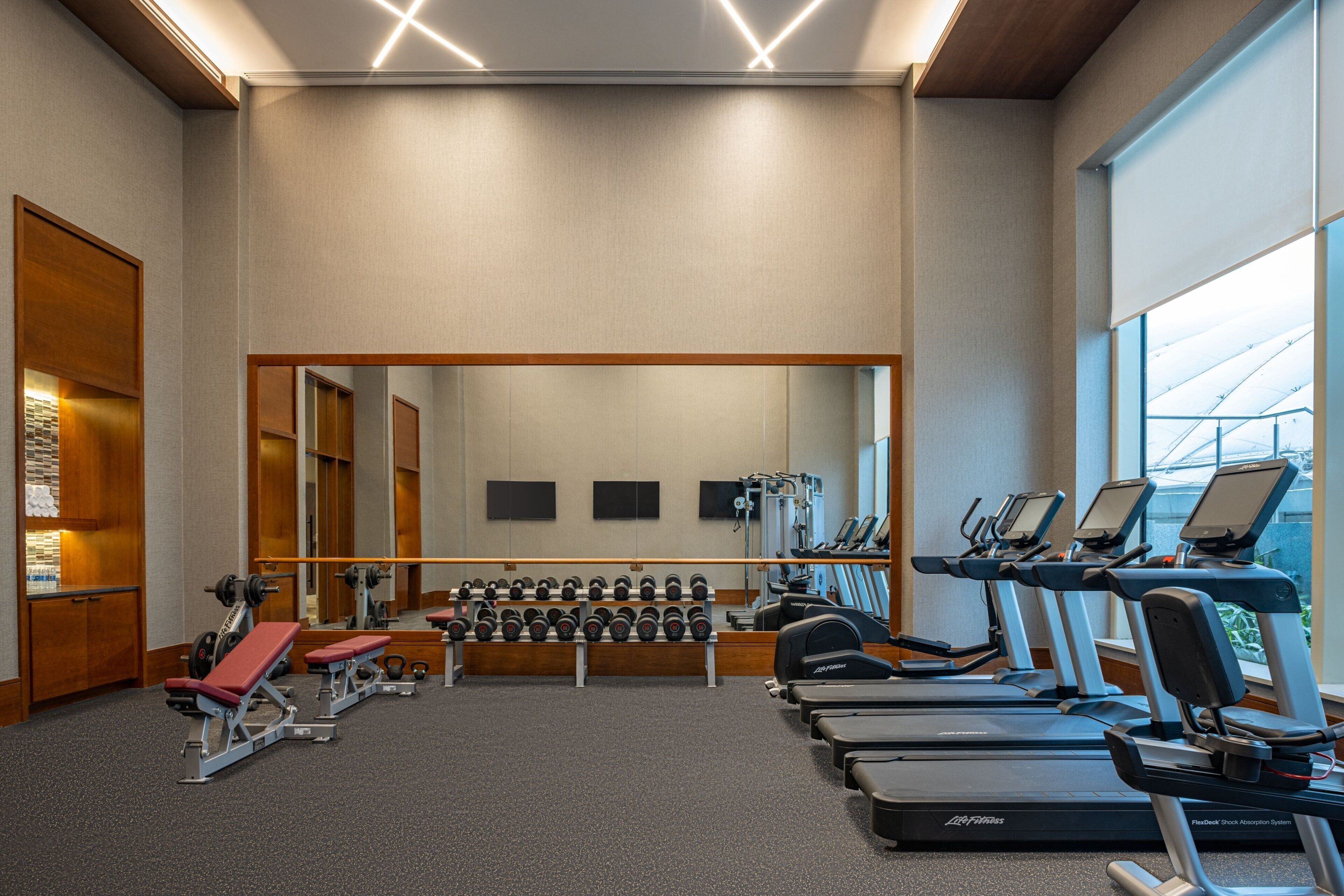A gym with treadmills, weight benches, and dumbbells.