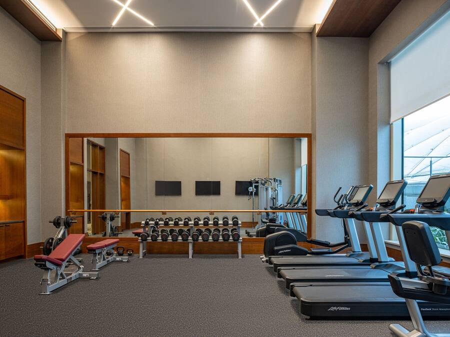 A gym with treadmills, weight benches, and dumbbells.