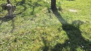 Ett hus med vit fasad, ett tak täckt med takpannor och en liten trädgård med gräsmatta och några träd.