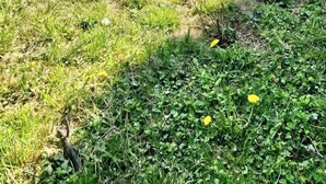 Ett hus med ett tak täckt av takpannor, en ytterdörr och en liten uteplats med ett bord och några stolar.