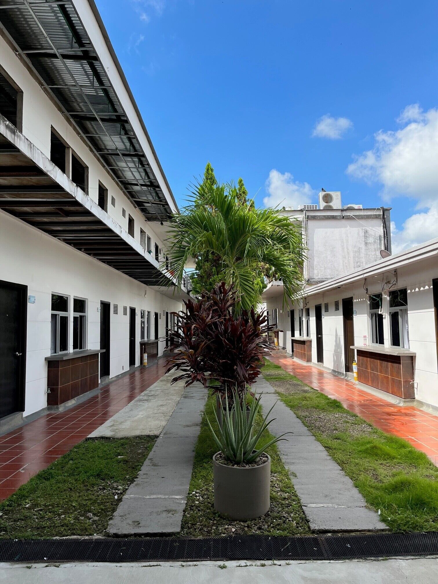 A courtyard with a central plant, tiled walkways, and a building with multiple windows and doors.