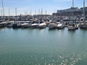 A marina with numerous boats docked, a clear sky, and buildings in the background.
