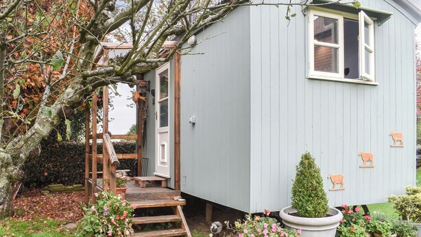 Eine kleine, hellblaue Holzhütte mit einer Holztreppe, die zu einer Tür führt, umgeben von einem Garten mit Topfpflanzen und einem kleinen Baum.