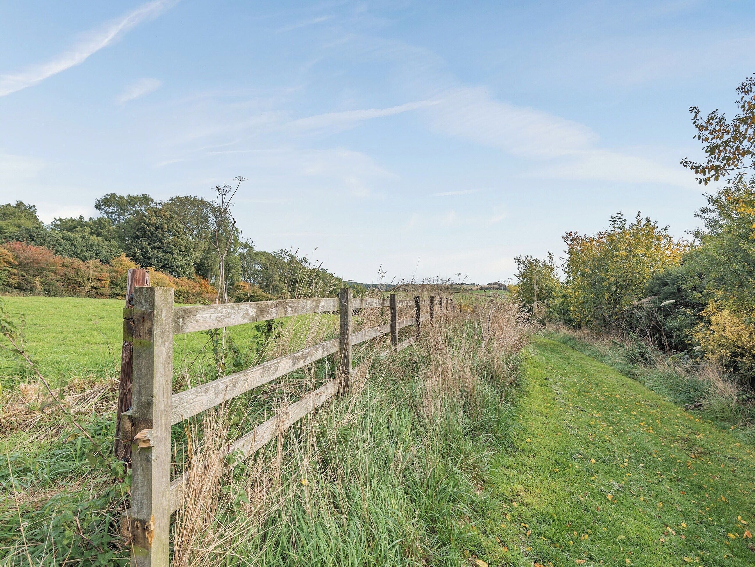 Ein Holzzaun in ländlicher Umgebung, mit einem grasbewachsen Feld und Bäumen im Hintergrund.