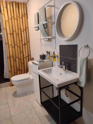 Shower, hair dryer, towels, shampoo