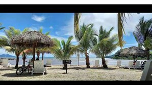 Una spiaggia con palme, una bicicletta e sdraie.