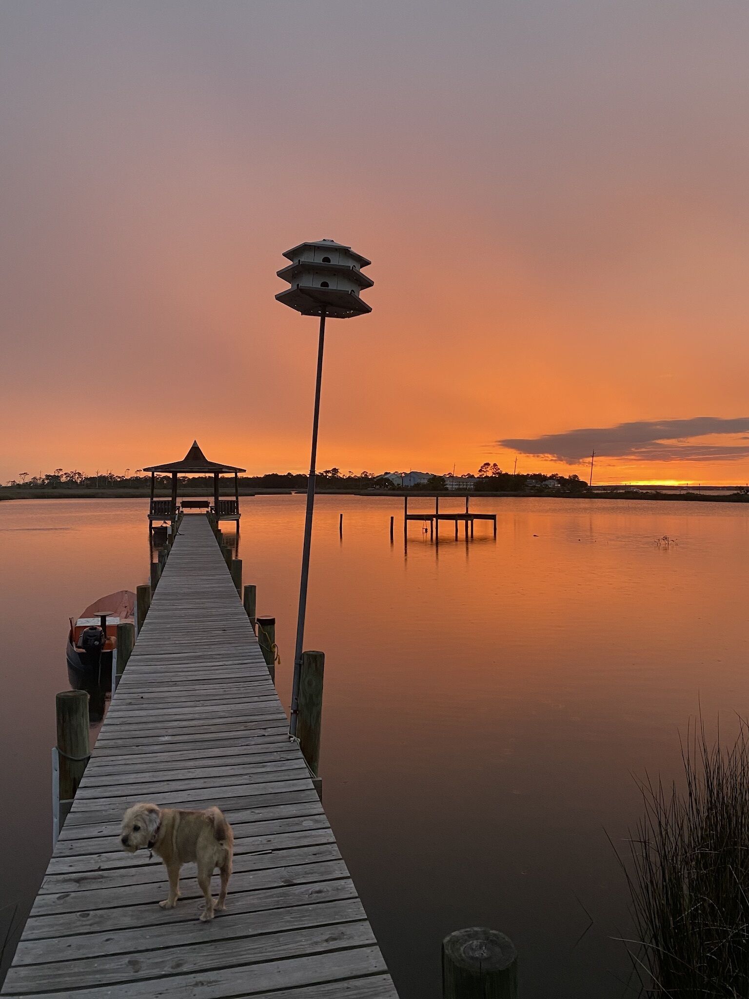 Waterfront home in the Perdido Key area. Enjoy magical sunsets. 5 min. to beach!