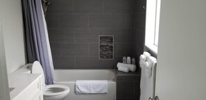 Combined shower/tub, hair dryer, towels, soap