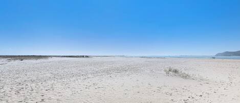 Nära stranden