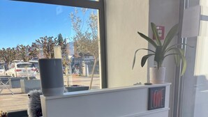 Una recepción con un cartel que dice 'LOVE' y una planta en maceta encima.