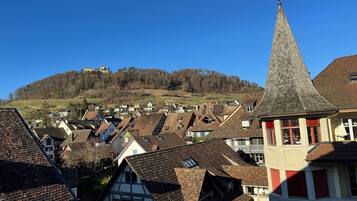 A traditional European village with a prominent church steeple, surrounded by houses with steeply pitched roofs.