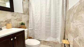 Shower, towels, toilet paper