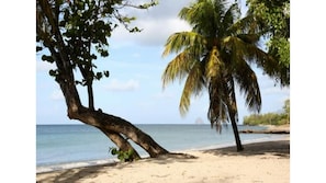 Plage à proximité, serviettes de plage