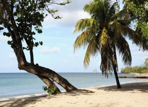 Plage à proximité, serviettes de plage