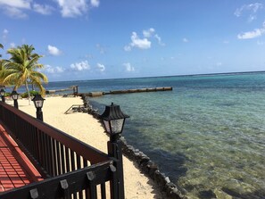 Ein Strand mit klarem Wasser, einer Holzstege und einer Palme.